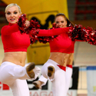 export__43_von_82_.jpg