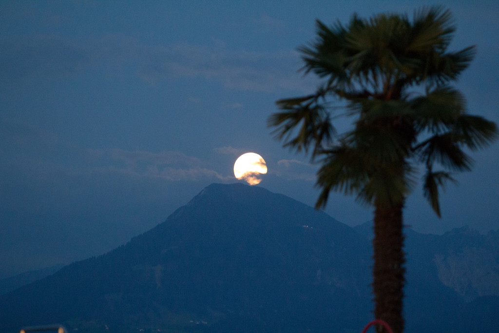BK_Felsenau 2013 16_jpg-1377190901