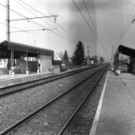 1390_001.jpg