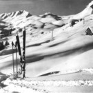 Dam__ls_Wintersport.jpg
