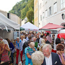 normal_23082013fmt_steingassenfest_mw-24.jpg