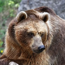 Nachtzoo in Salzburg