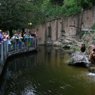 normal_23082013fmt_nachtzoo_ta_011.JPG