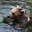normal_23082013fmt_nachtzoo_ta_012.JPG