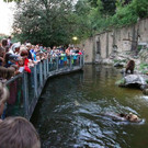 normal_23082013fmt_nachtzoo_ta_014.JPG