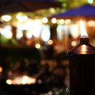 normal_23082013fmt_nachtzoo_ta_024.JPG