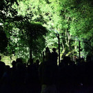 normal_23082013fmt_nachtzoo_ta_028.JPG