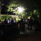 normal_23082013fmt_nachtzoo_ta_031.JPG