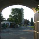 IMG_6598.JPG