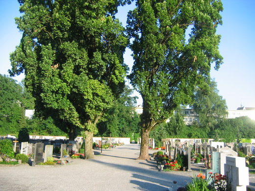 IMG_6596.JPG