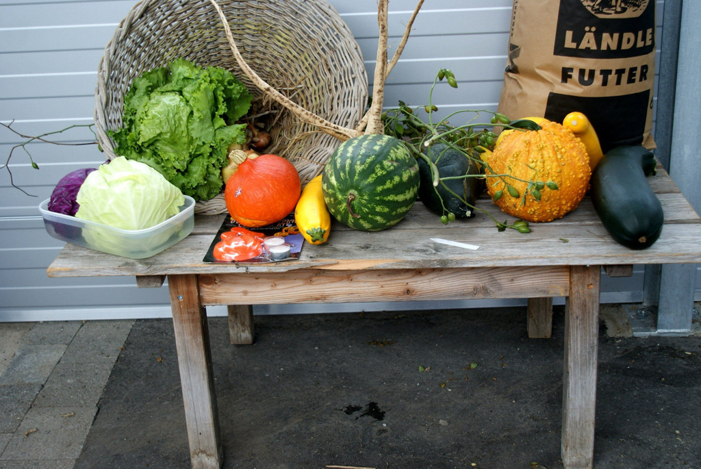 DSC02481.JPG
