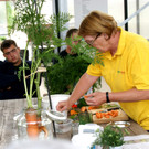 DSC02496.JPG
