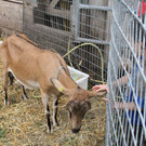 IMG_8654.JPG