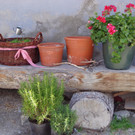 Alpe Vergalden_ Gargellen -  18_8_2013 060.JPG