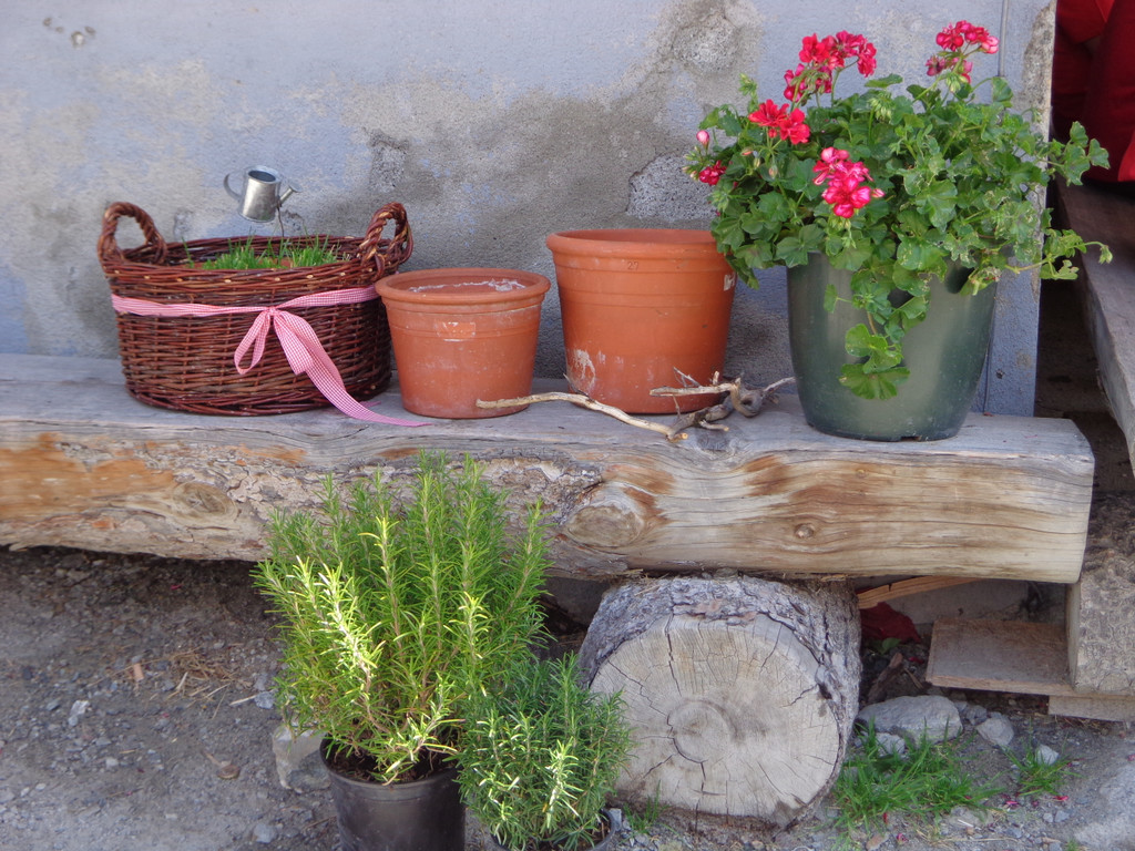 Alpe Vergalden_ Gargellen -  18_8_2013 060.JPG