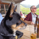 Alpe Vergalden_ Gargellen -  18_8_2013 133.JPG