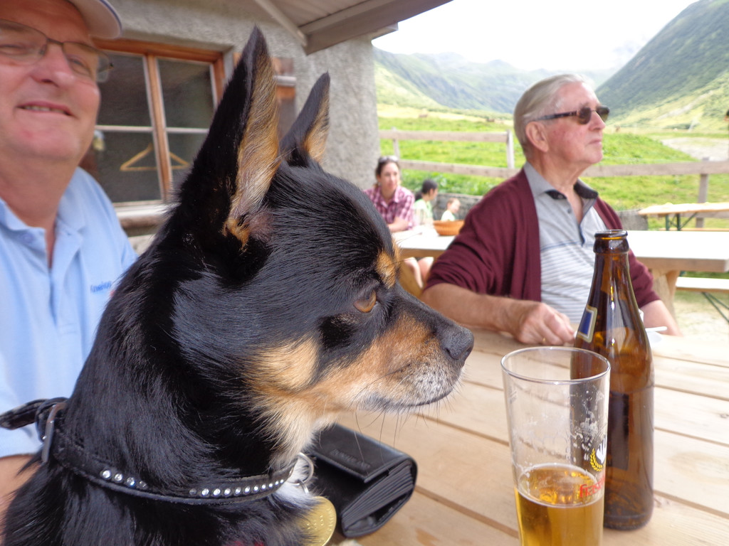 Alpe Vergalden_ Gargellen -  18_8_2013 133.JPG