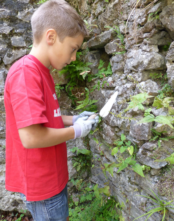Ruine3b_jpg-1377456328