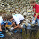 Ruine4f_jpg-1377456476