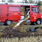 DSC_0063.JPG