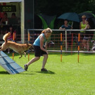 DSC04788_jpg-1377503082