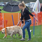 Gino im Slalom_jpg-1377503087