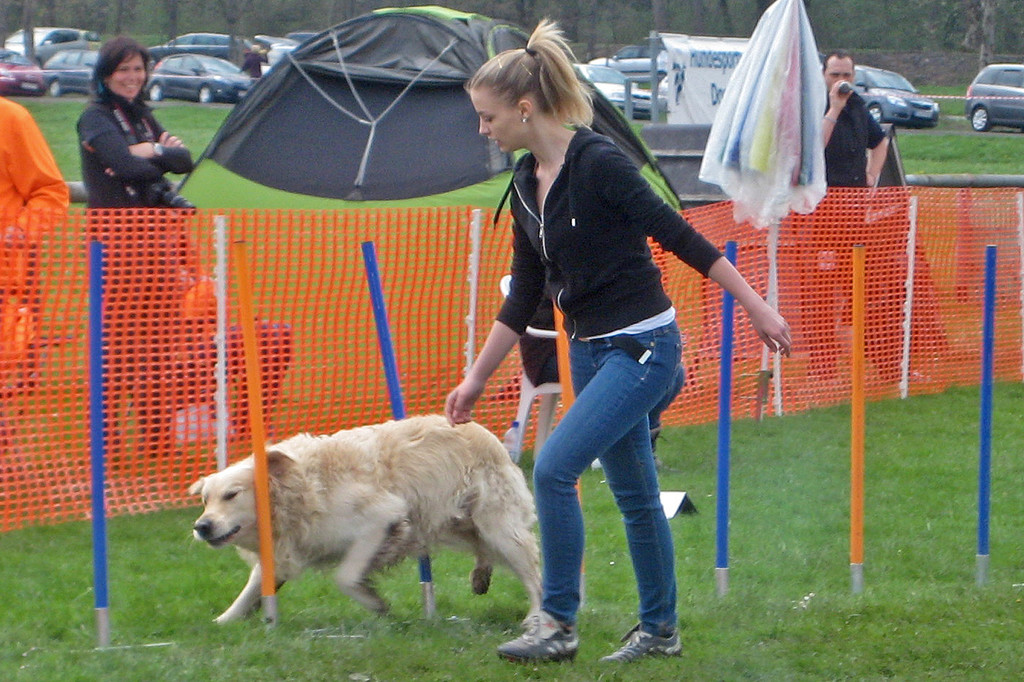Gino im Slalom_jpg-1377503087