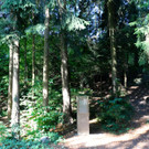 KOE_Wanderung Tostner Burg 5_jpg-1377503727
