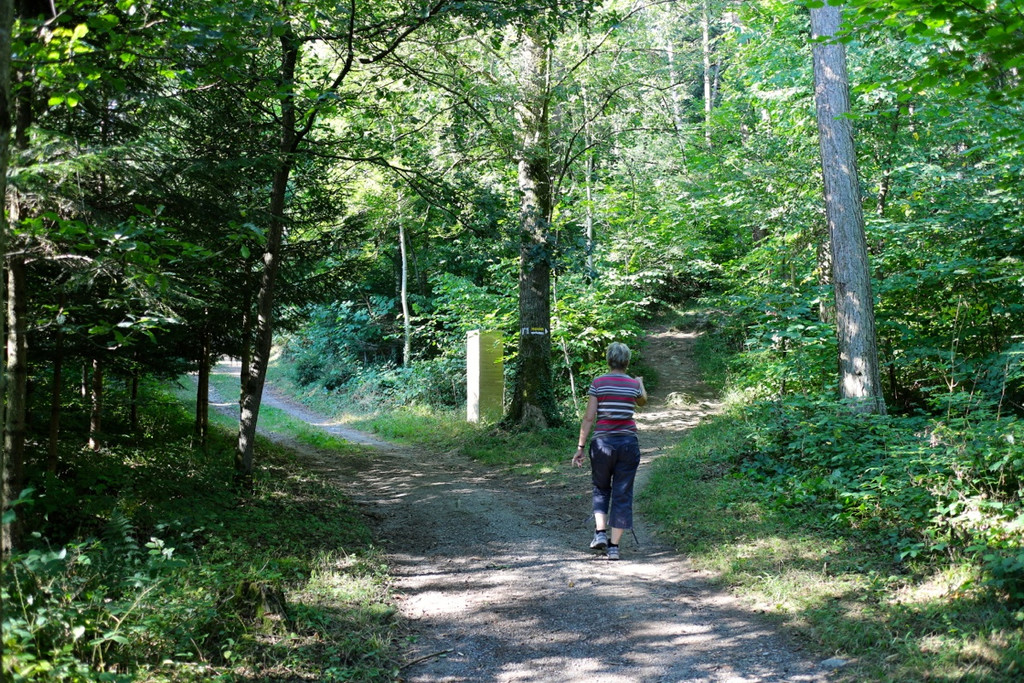 KOE_Wanderung Tostner Burg 6_jpg-1377503739