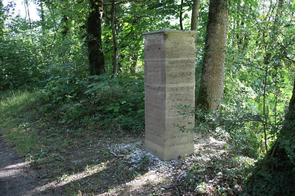 KOE_Wanderung Tostner Burg 9_jpg-1377503769