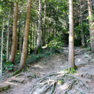 KOE_Wanderung Tostner Burg 12_jpg-1377503797