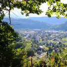 KOE_Wanderung Tostner Burg 16_jpg-1377503830