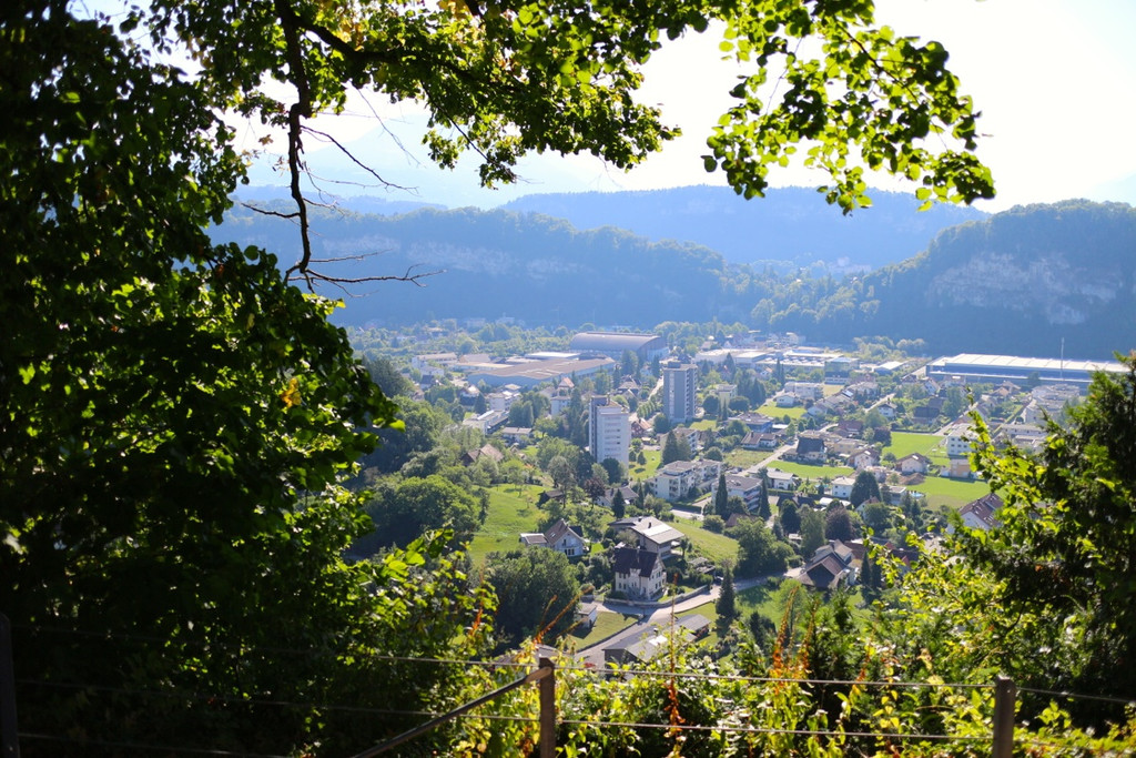 KOE_Wanderung Tostner Burg 16_jpg-1377503830