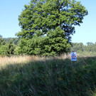 KOE_Wanderung Tostner Burg 17_jpg-1377503839