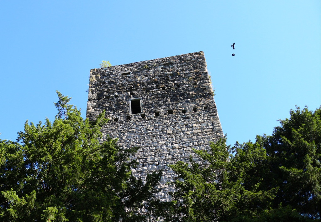 KOE_Wanderung Tostner Burg 21_jpg-1377503871