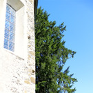 KOE_Wanderung Tostner Burg 24_jpg-1377503888