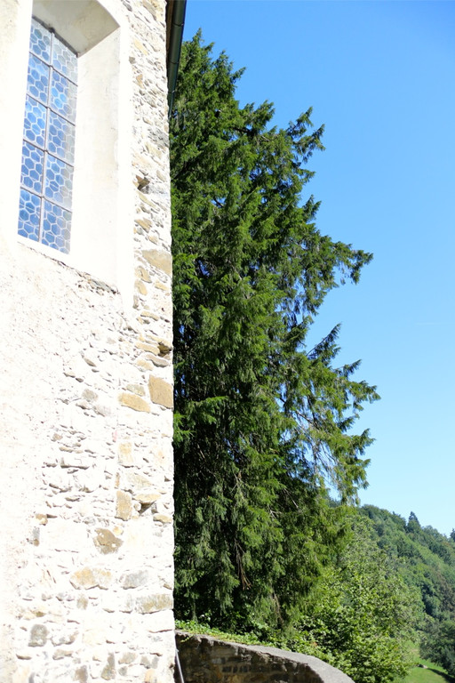 KOE_Wanderung Tostner Burg 24_jpg-1377503888