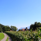 KOE_Wanderung Tostner Burg 28_jpg-1377503912