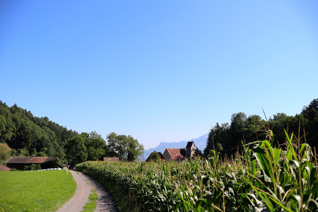 KOE_Wanderung Tostner Burg 28_jpg-1377503912
