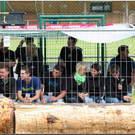 autoball  239.jpg