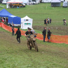 IMG_1170_JPG-1377516525