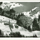 schroecken2.jpg