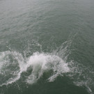 IMG_1207_JPG-1377518305