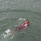 IMG_1208_JPG-1377518321