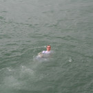IMG_1217_JPG-1377518415