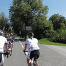 DSC01678.jpg