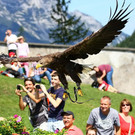normal_24082013fmt_burgwerfen_ta_016.JPG