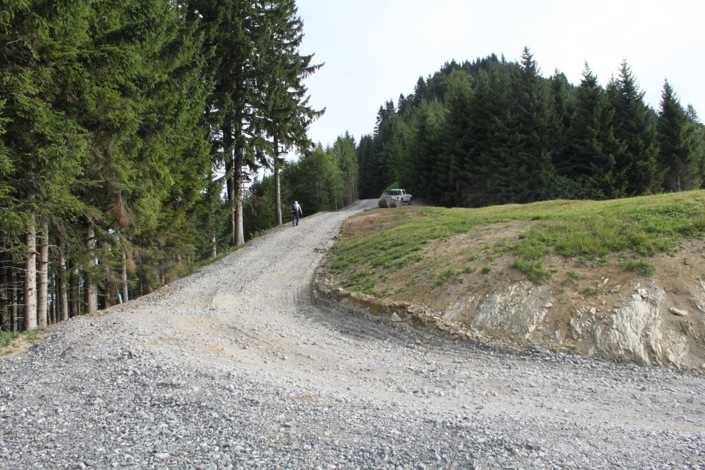 E-Forstweg Schwimmersboden Fraxern_zus_jpg-1377546247