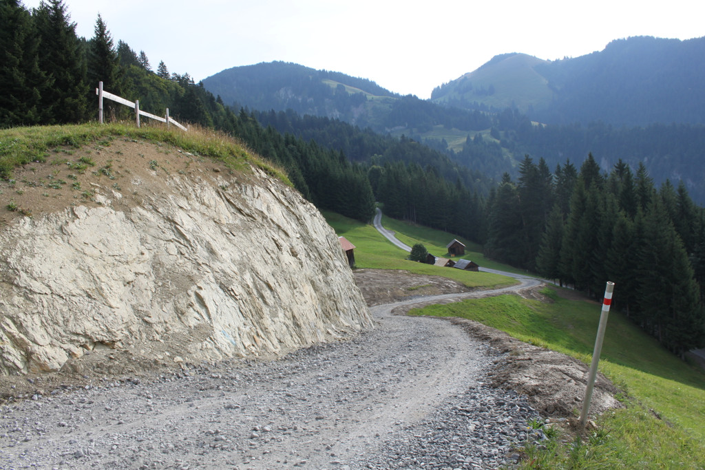 Forstweg Schwimmersboden Fraxern _4__jpg-1377546261