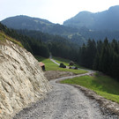 Forstweg Schwimmersboden Fraxern _5__jpg-1377546276